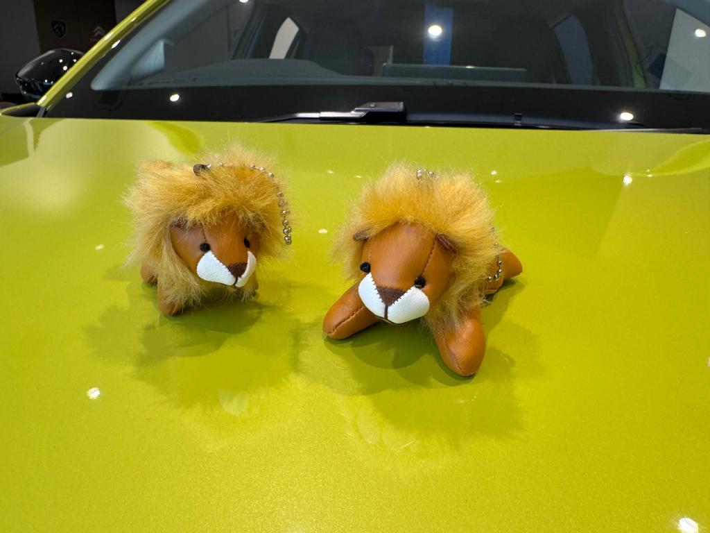 ◇PETIT LION LIFE フェア◇