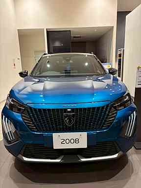 特別仕様車　2008 GT Obsession Blue
